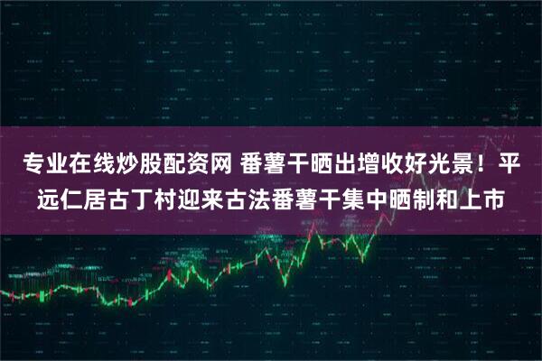 专业在线炒股配资网 番薯干晒出增收好光景！平远仁居古丁村迎来古法番薯干集中晒制和上市